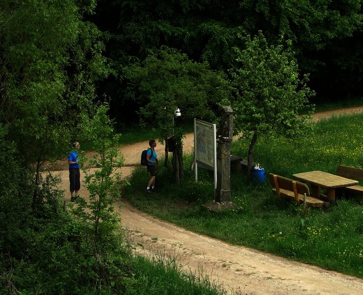 Zitronenkrämerkreuz