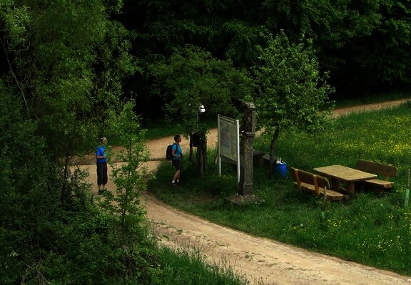 Zitronenkrämerkreuz