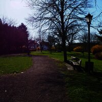 Bügerpark in Longkamp Frühjahr