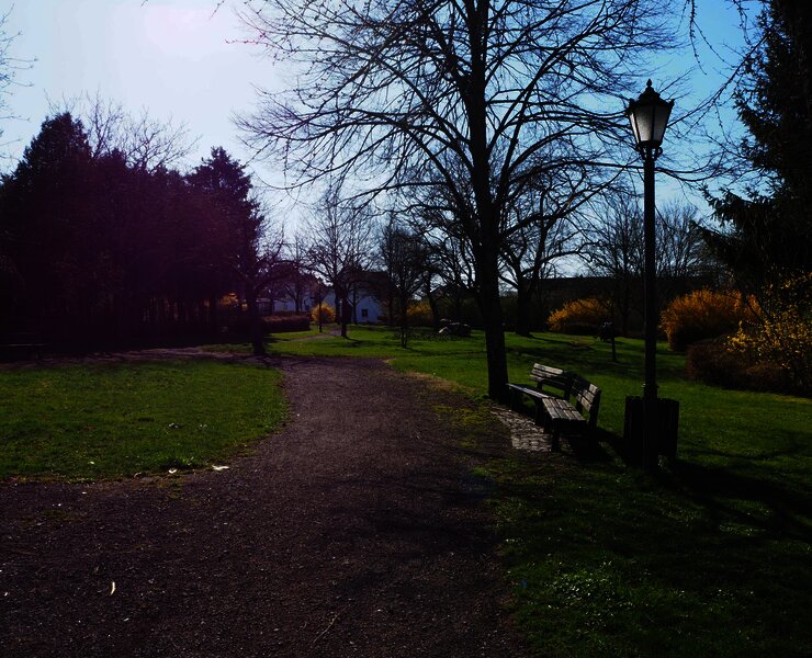 Bügerpark in Longkamp Frühjahr