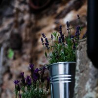 allgemein_DSC_3652_f