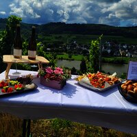 Weinpicknick im Weinberg