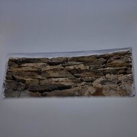 1X0A7193_print
