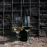 Wein an der Mosel genießen