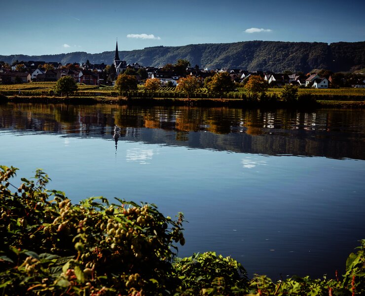 Piesport an der Mosel