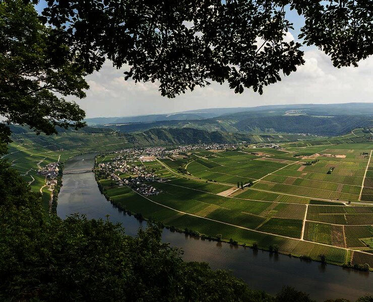 Moselblick 2