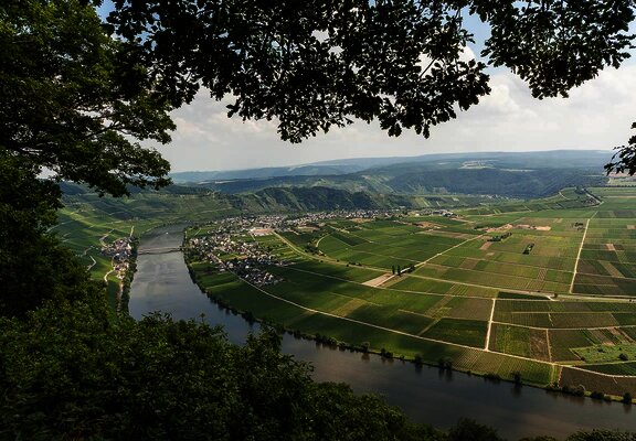 Moselblick 2